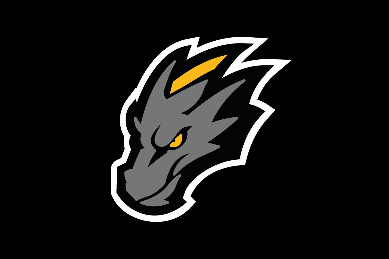 Refonte charte graphique Dragons de Rouen